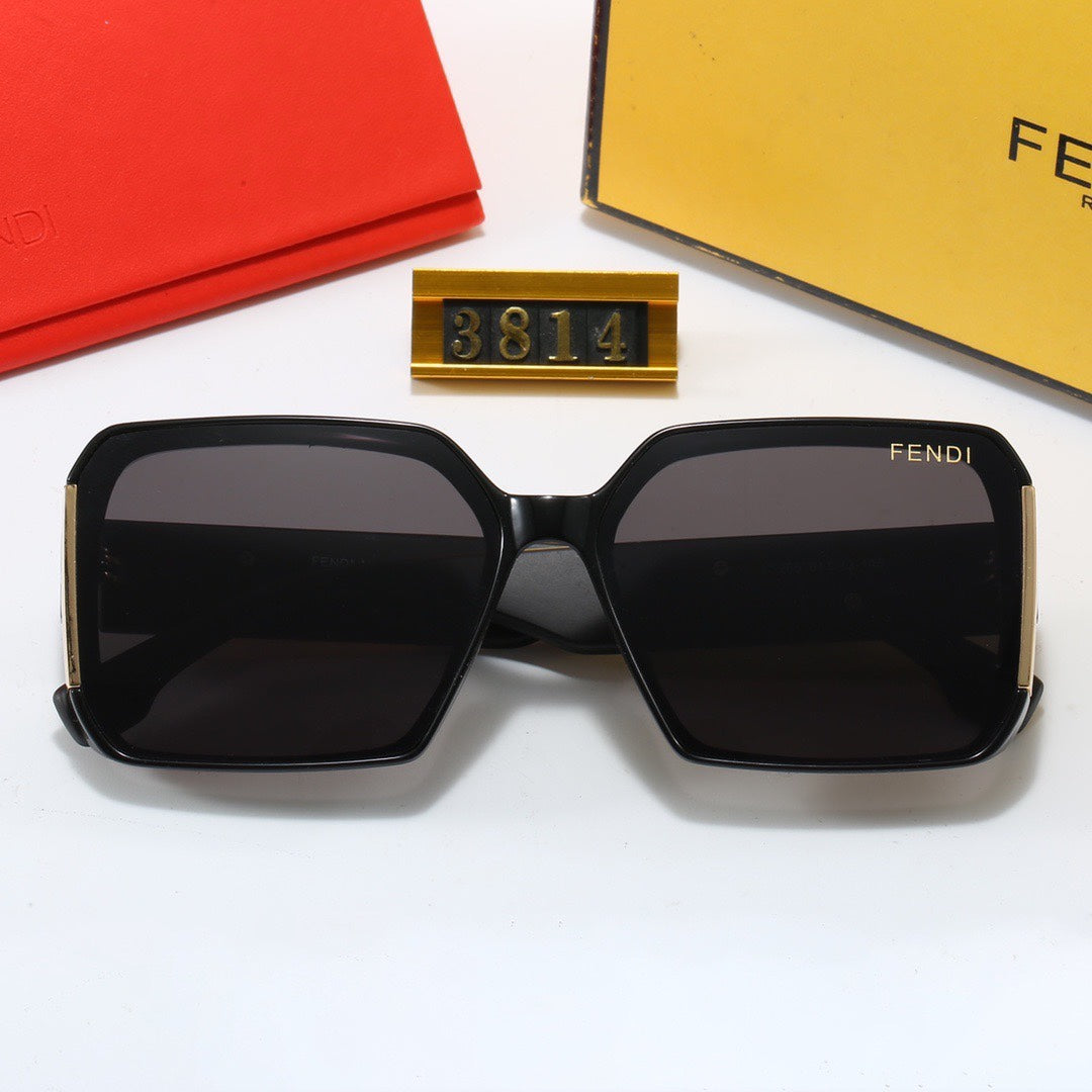 Large Frame Sunglasses